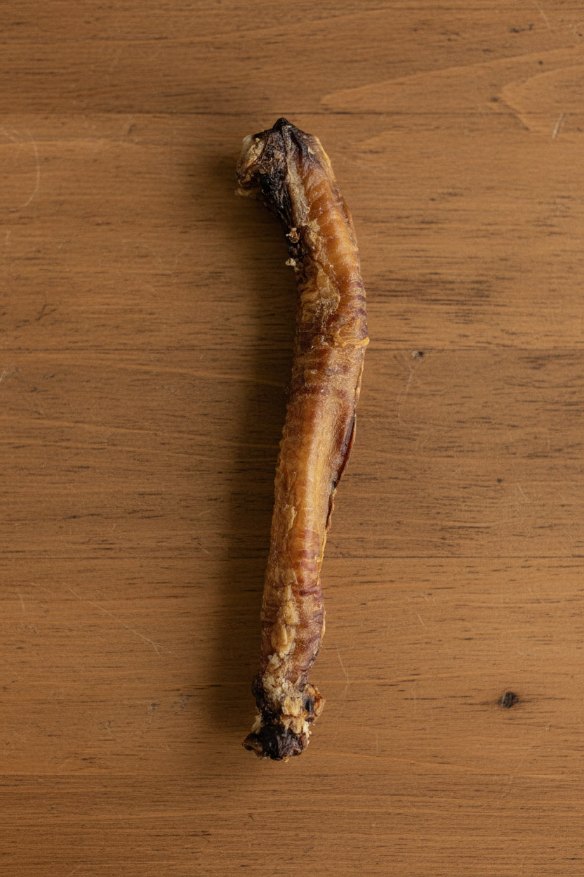 Lamb Trachea