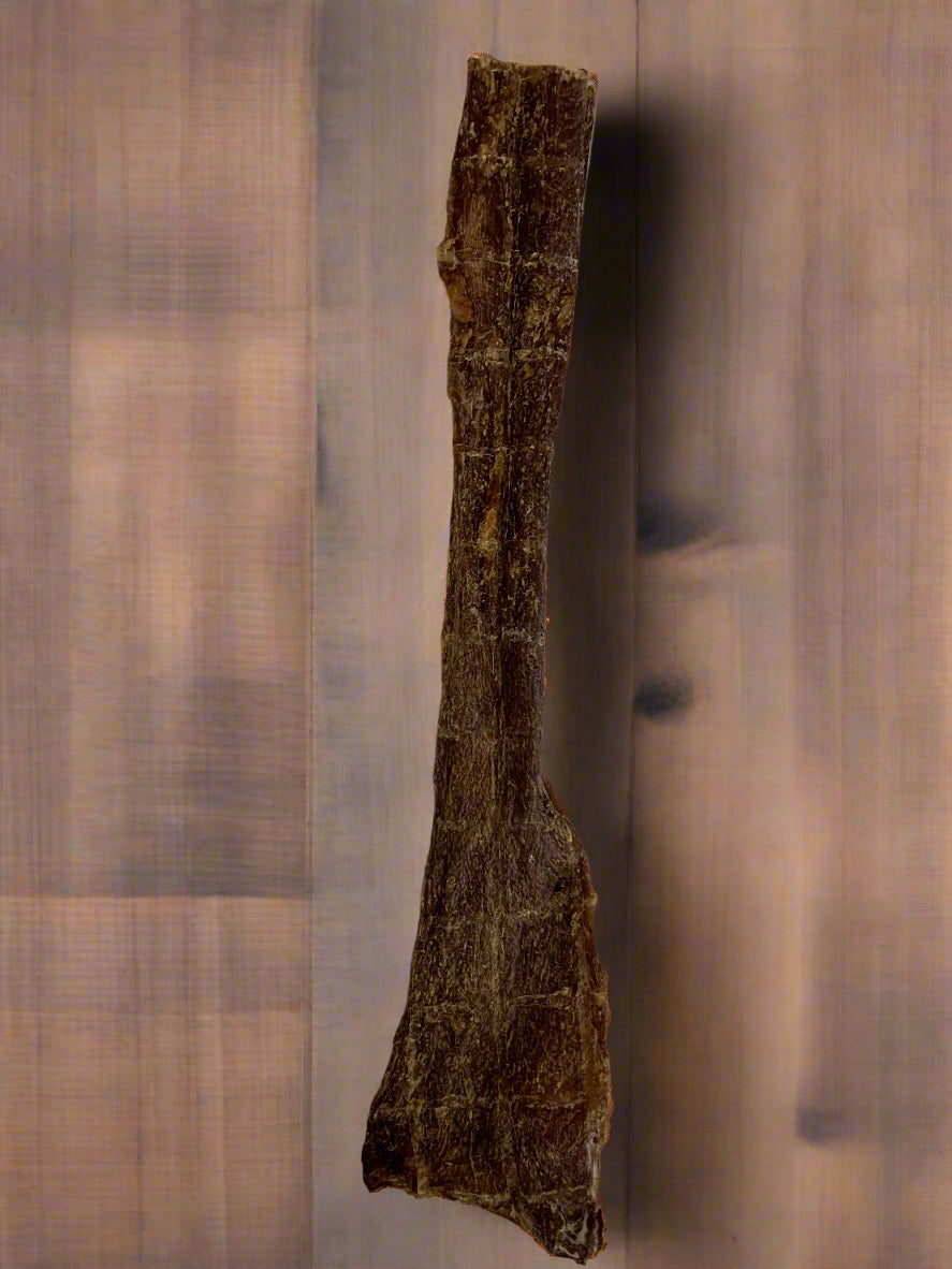 Biltong Natural Dog Treat, Front Side