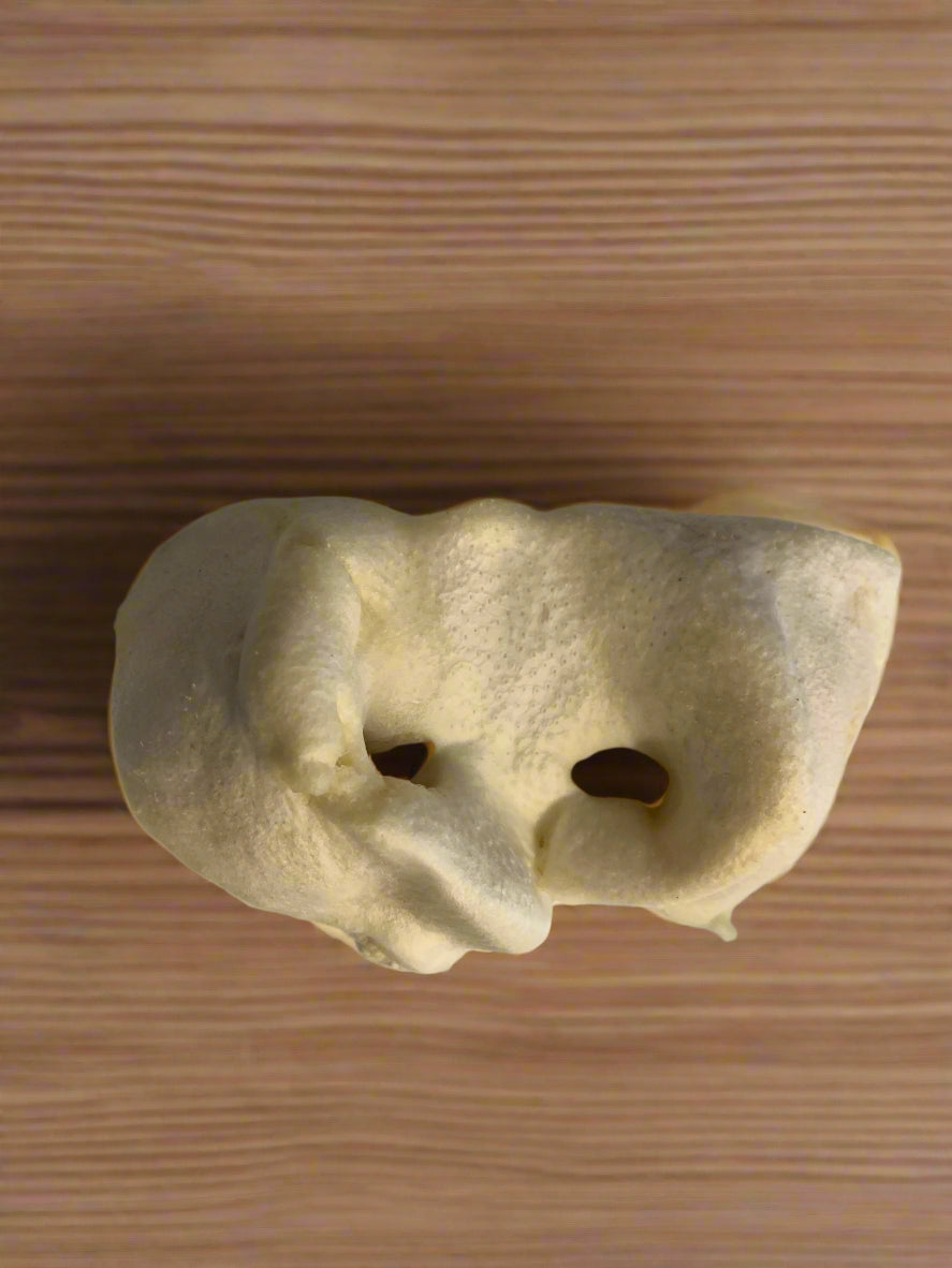 puffed pig snout, natural dog treats, front side