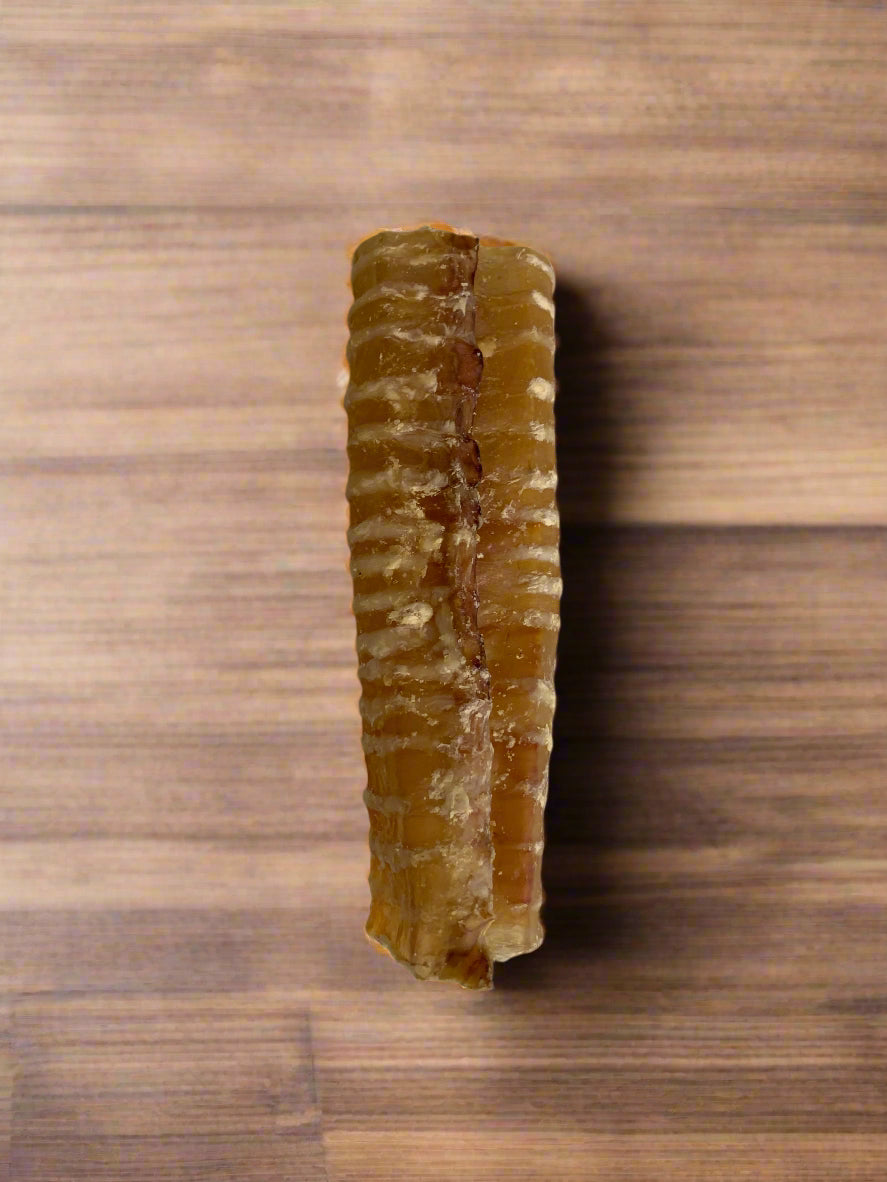 Beef Trachea Natural Dog Treat, Front Side