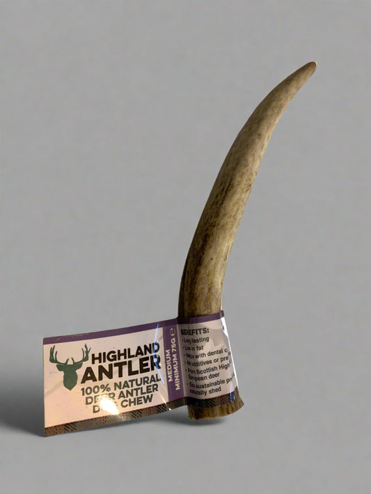 antler dog treat, antler dog treats, front side, pets at home, natural dog treats