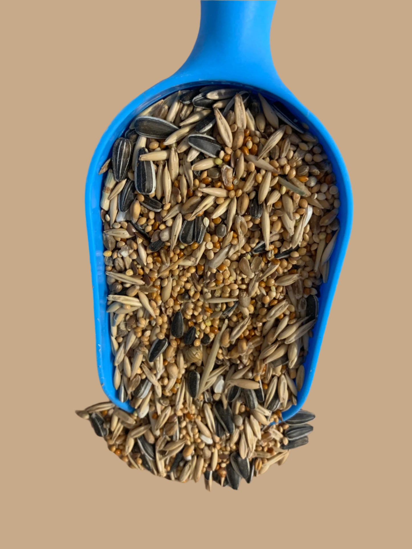 cockatiel food, cockatiel 20kg, parakeet bird food, parakeets food, front side