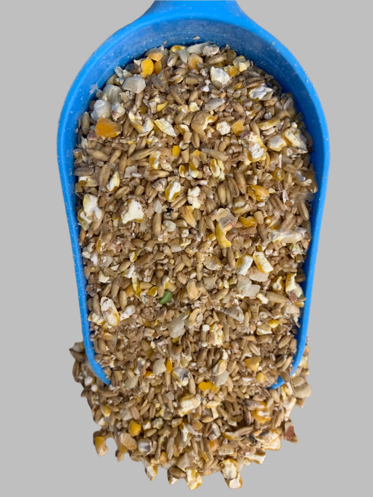 robin seed, wild bird food, really wild bird food