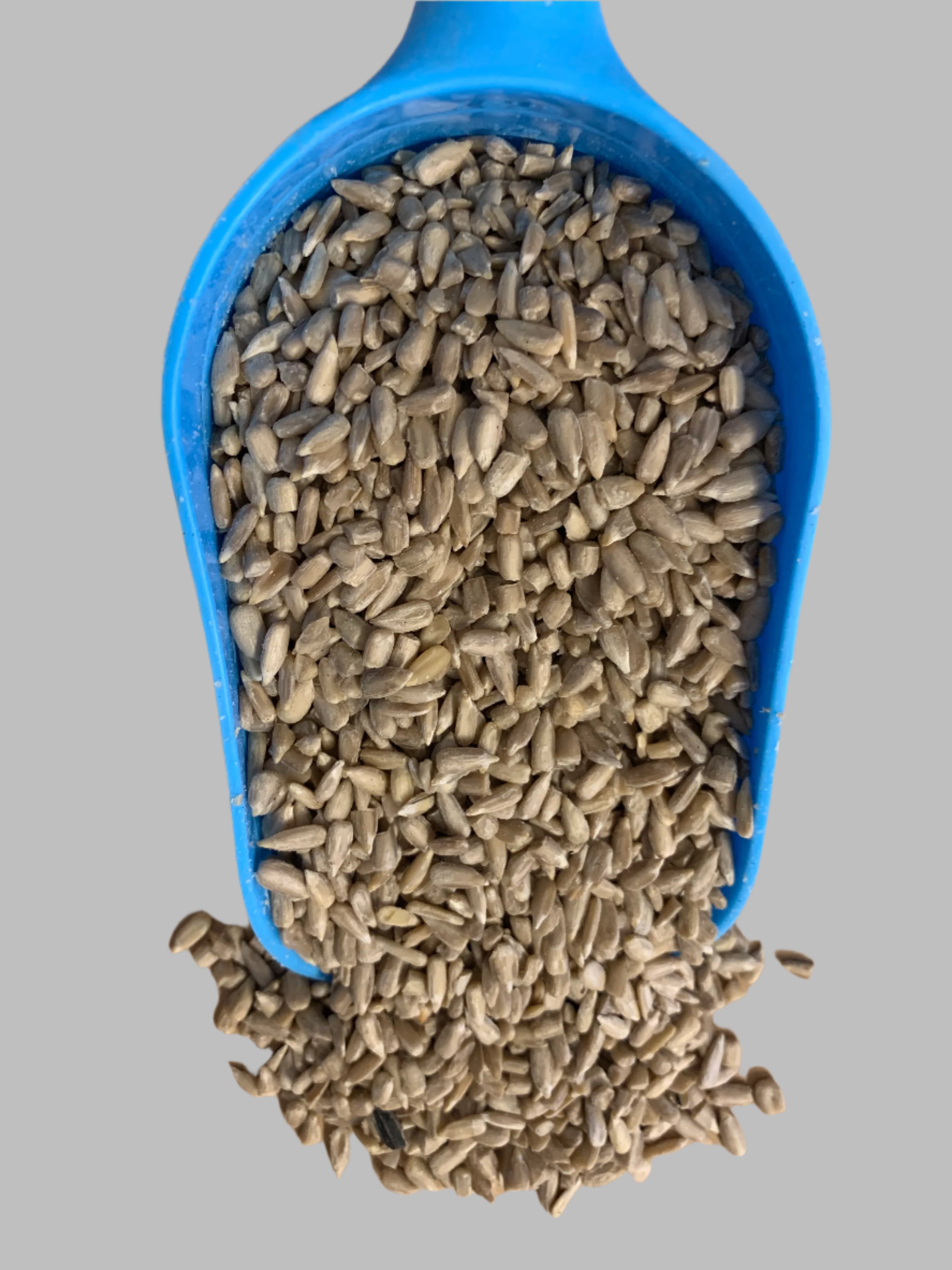 sunflower hearts, wild bird food, really wild bird food