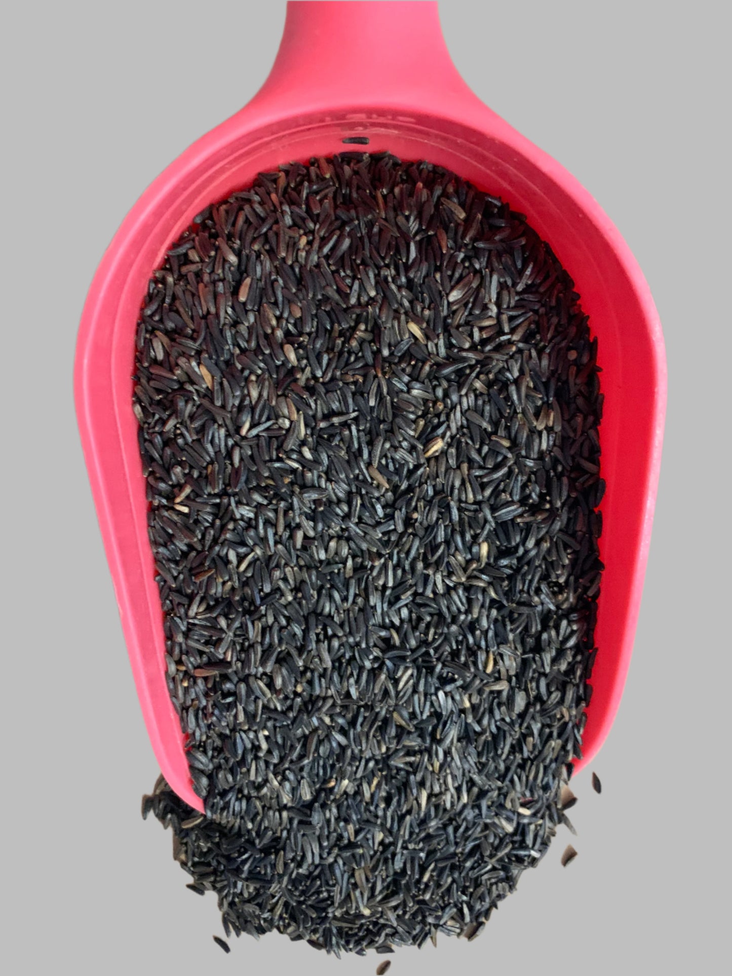 nyger seed, wild bird food, really wild bird food