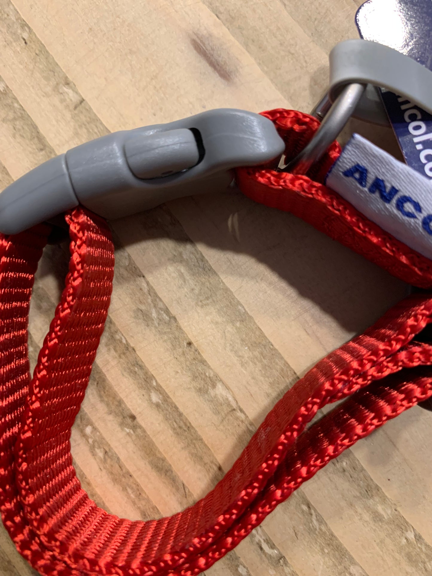 Ancol Viva Adjustable Dog Collar, dog collar, dog collars, front side