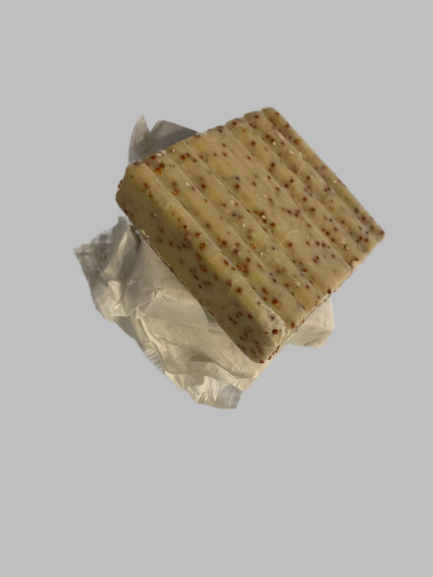 Suet To Go Block Mealworm