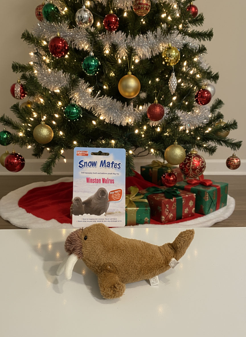 Winston Walrus Christmas Dog Toy