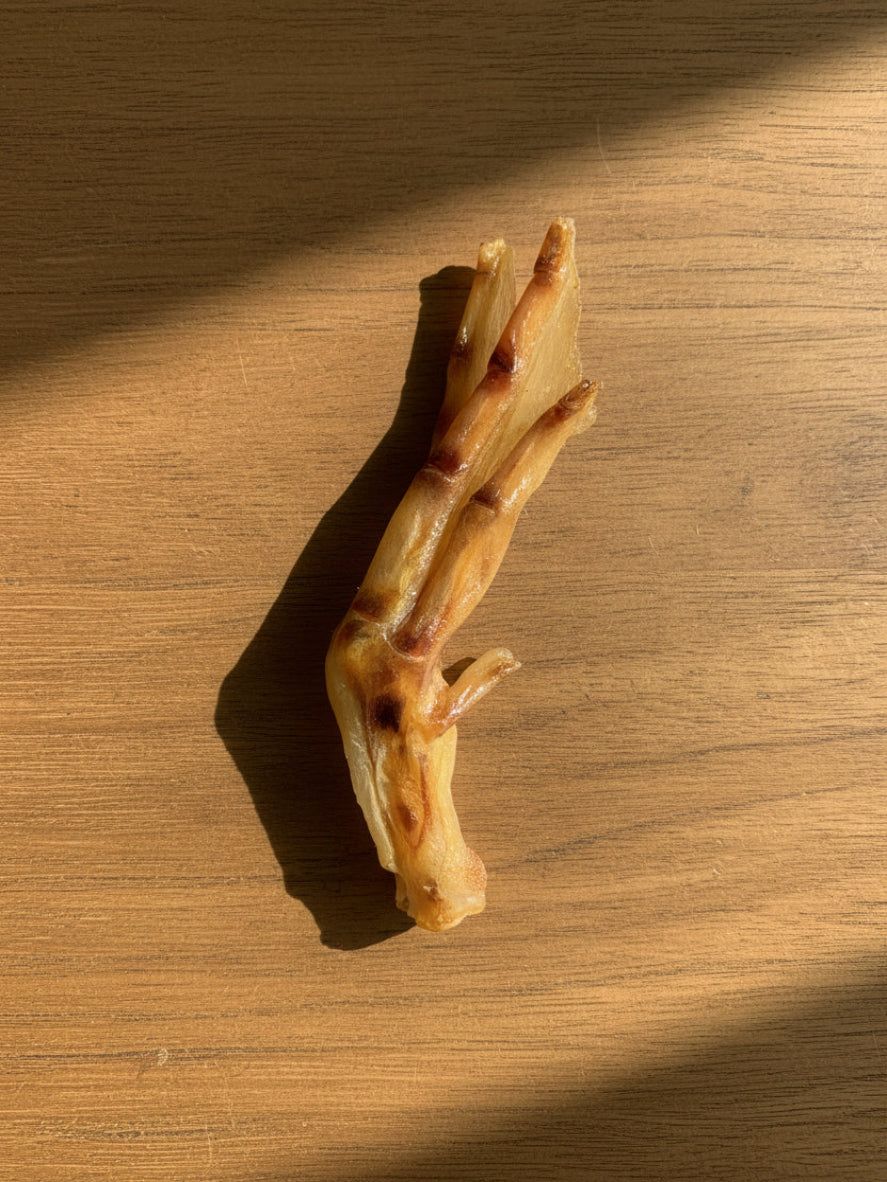 Duck Feet
