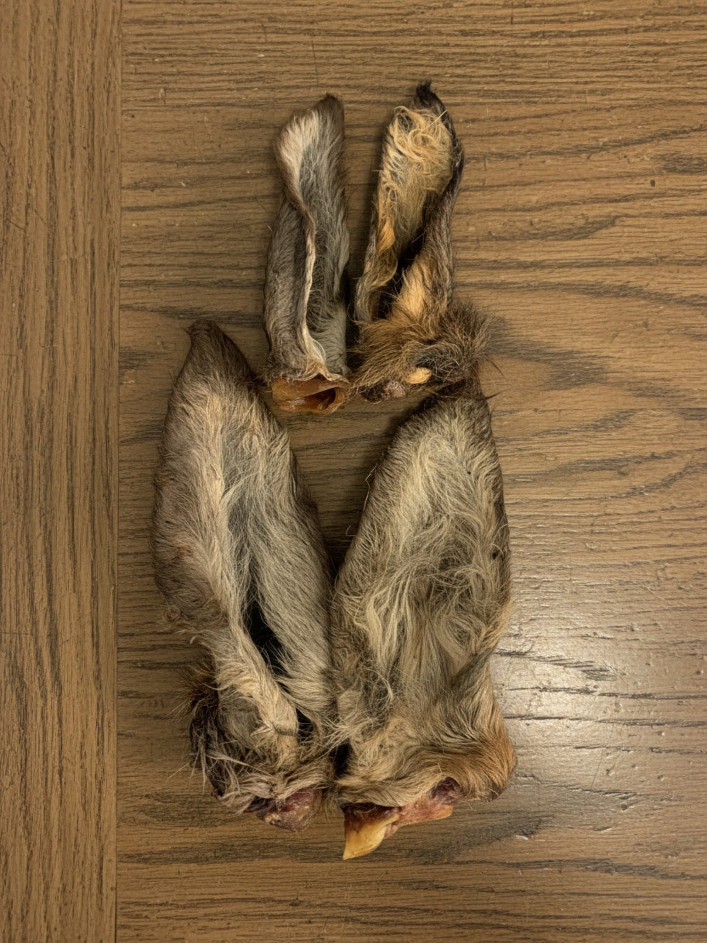 Hairy Venison Ears