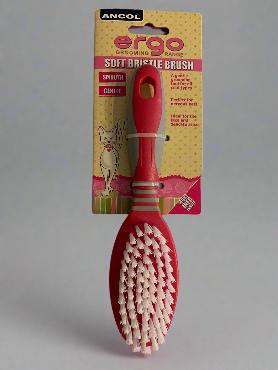 Ancol Ergo Cat Bristle Brush, cat grooming, cat groom, front side, pets at home