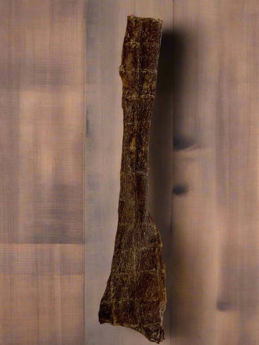 Biltong Natural Dog Treat, Front Side