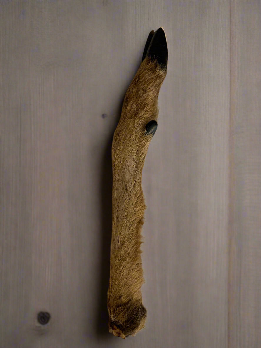 small deer foot, Natural Dog Treat, Front Side, natural dog treats, dog treats, pets at home