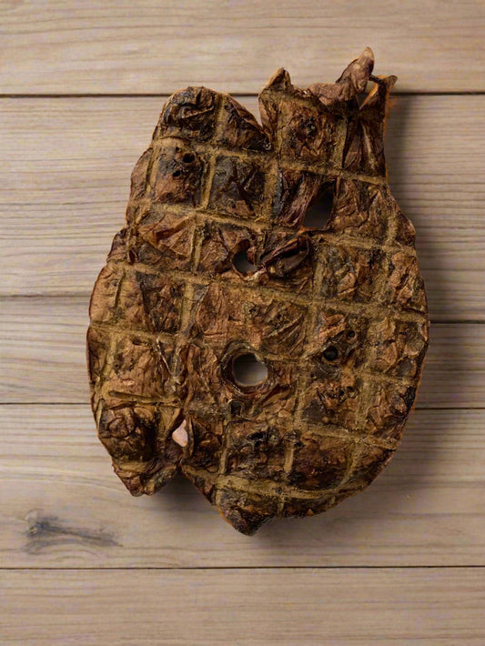 Bronco Natural Dog Treat, Front Side
