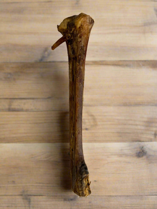 ostrich bone Natural Dog Treat, Front Side