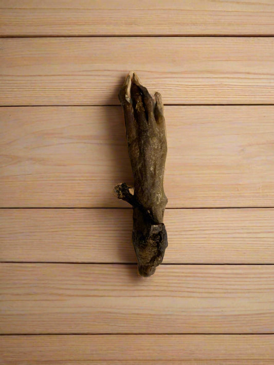 rabbit feet, natural dog treats, front side