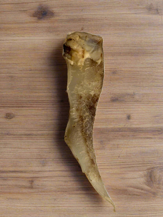 small moonbone, natural dog treats, front side