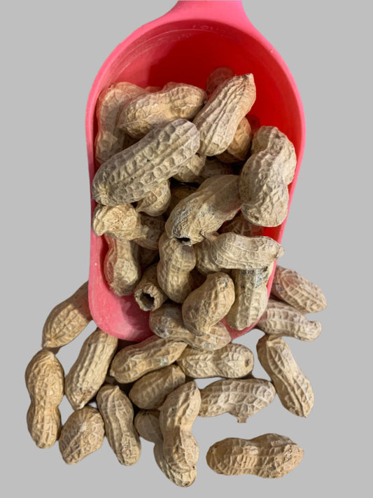 monkey nuts, nuts in shells, wild bird food, really wild bird food