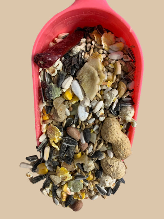 parrot food, parrot favourite food, parrot fish food, front side