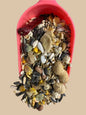 parrot food, parrot favourite food, parrot fish food, front side