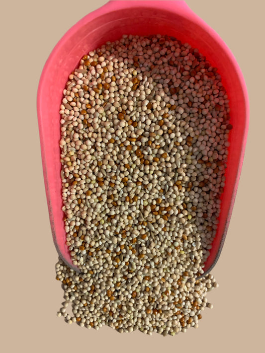 budgie food, budgie food near me, budgie food 20kg, front side