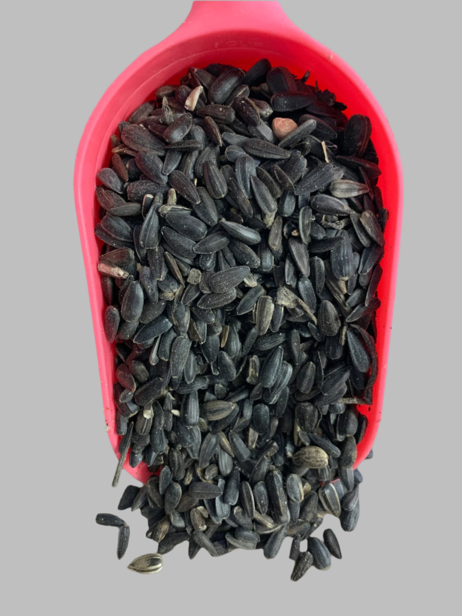 black sunflower seed, wild bird food, really wild bird food