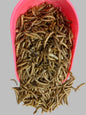 dried mealworms, wild bird food, really wild bird food