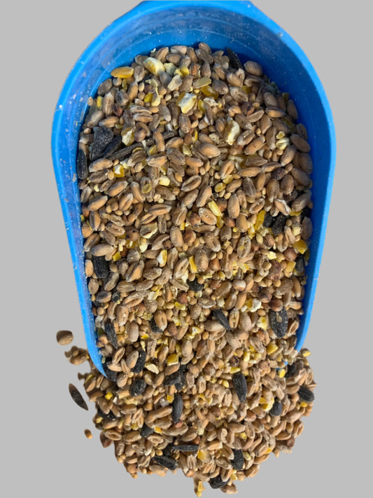 wild bird seed, wild bird food, really wild bird food