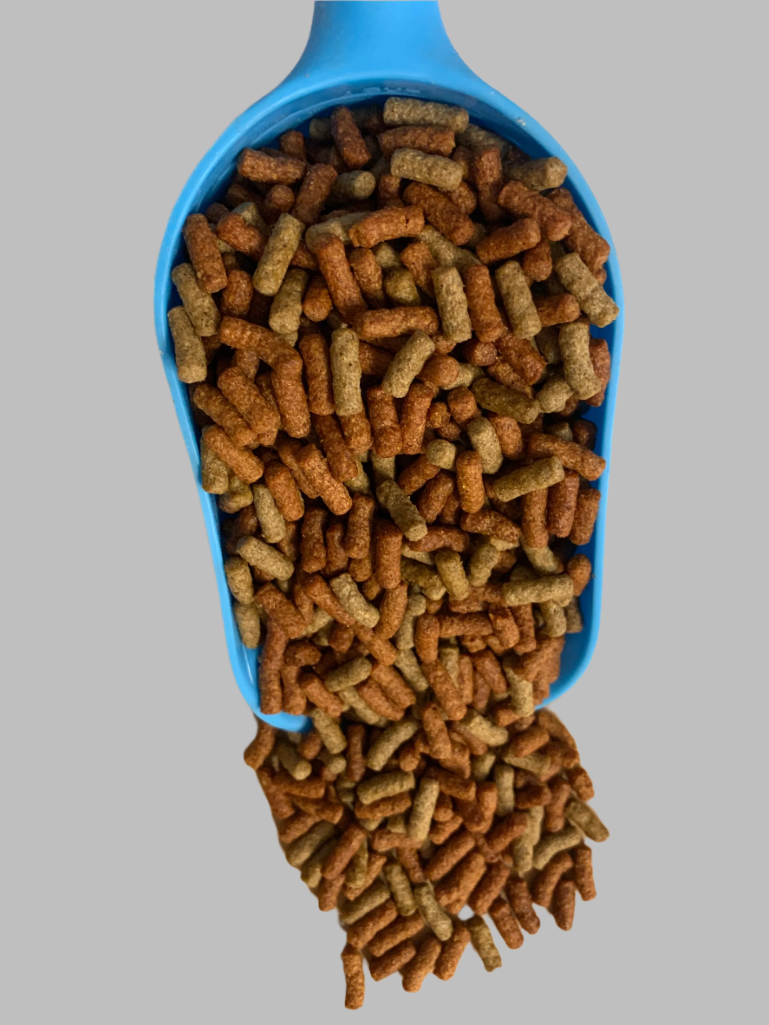 Pond sticks 1kg, pond fish, pond fish food, front side