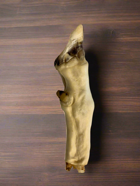 Goat Foot, Natural Dog Treat, Front Side