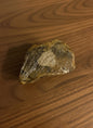 Beef shank with sheep fat, dog treats, top side, pets at home, natural dog treats, pets at home