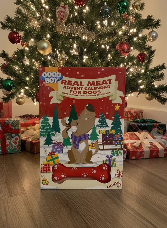Dog Advent Calendar