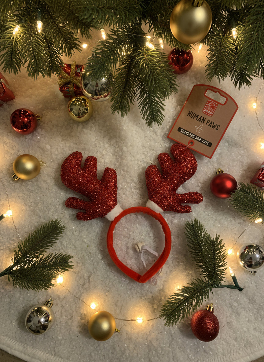 Christmas Antler Dog Headband