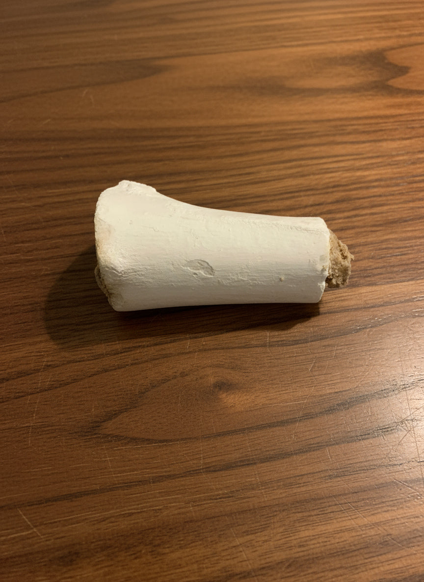 Beef Marrowbone Filled With Chicken, dog treats, top side, pets at home, natural dog treats, pets at home