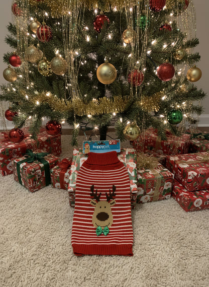 Happy Pet Reindeer Striped Jumper