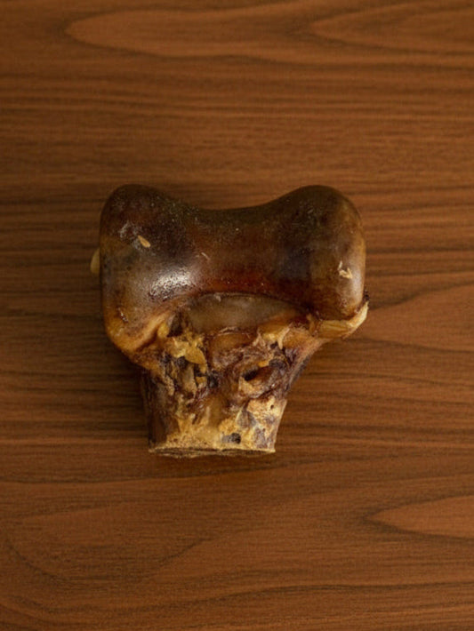 Ostrich Knuckle Bone