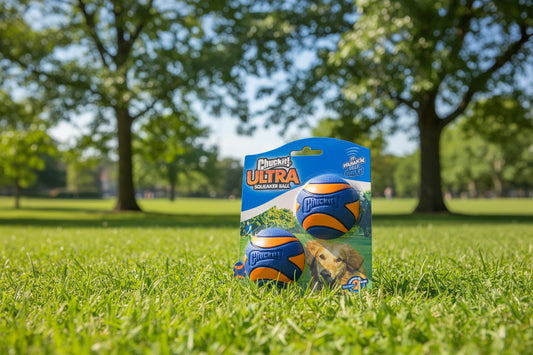 Chuckit Ultra Squeaker Ball 2pk Medium