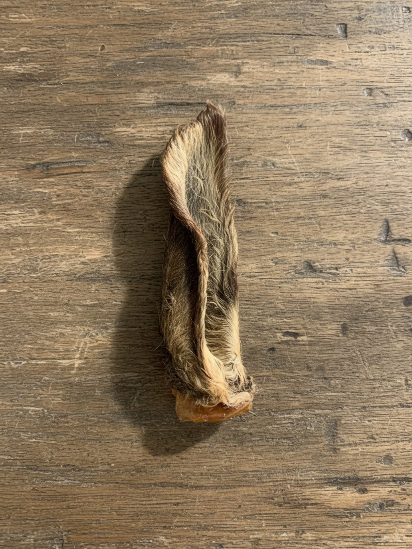 Hairy Venison Ears