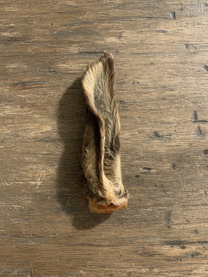 Hairy Venison Ears