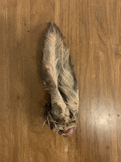 Hairy Venison Ears