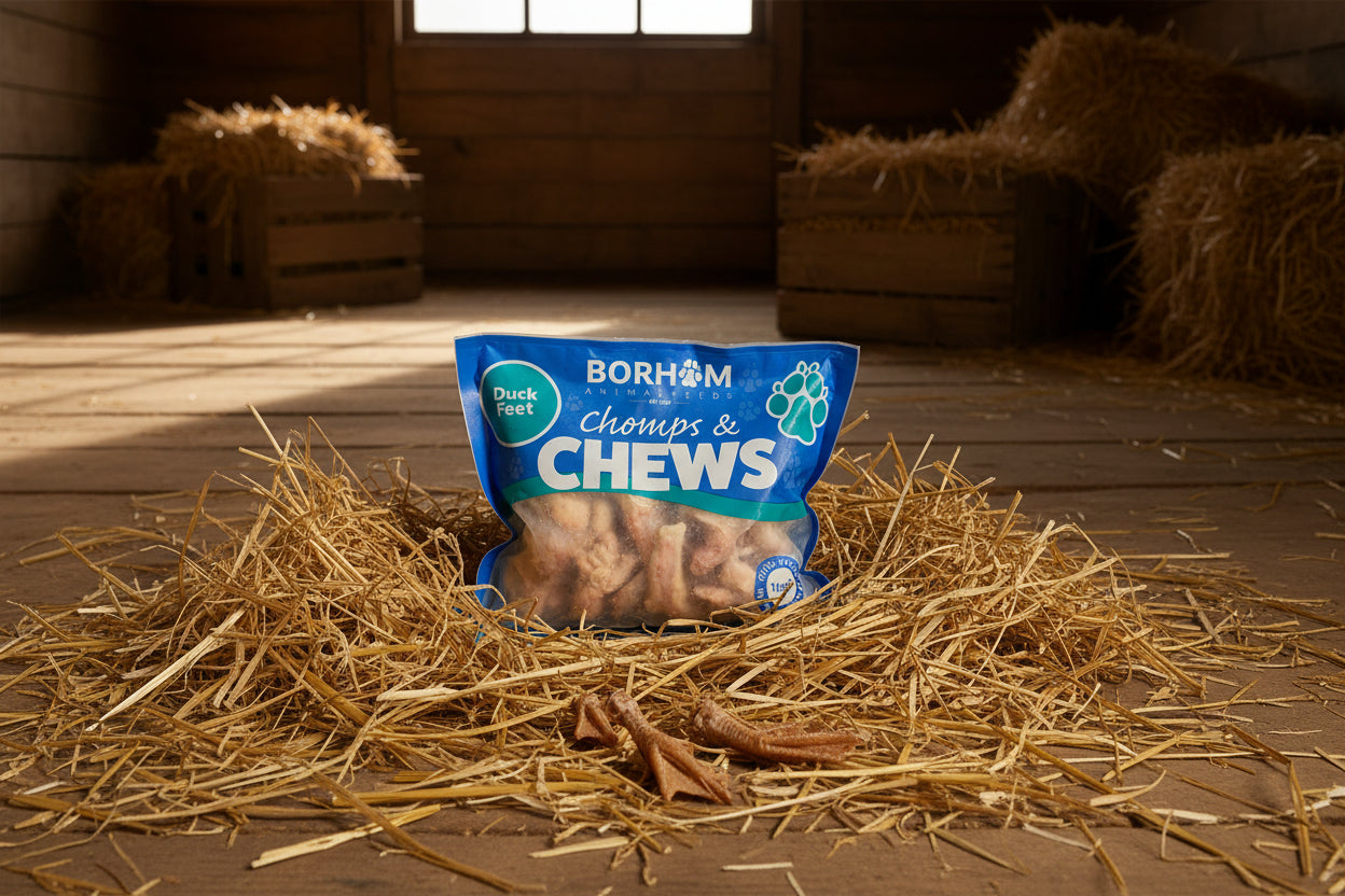 Durham Animal Feeds Duck Feet 1kg