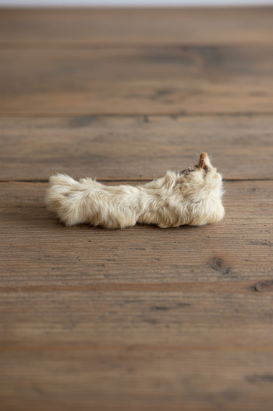 Hairy Rabbit Feet