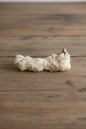Hairy Rabbit Feet