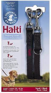 Company Of Animals Halti Training Lead
