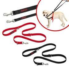Company Of Animals Halti Training Lead